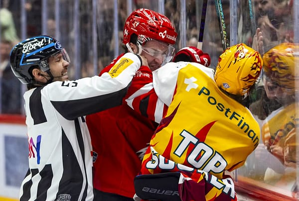 Schlägerei Eishockey Psychologie