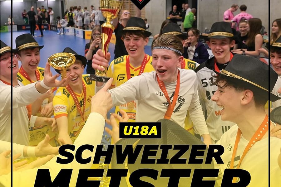 Sportpsychologie Mentales Training Unihockey