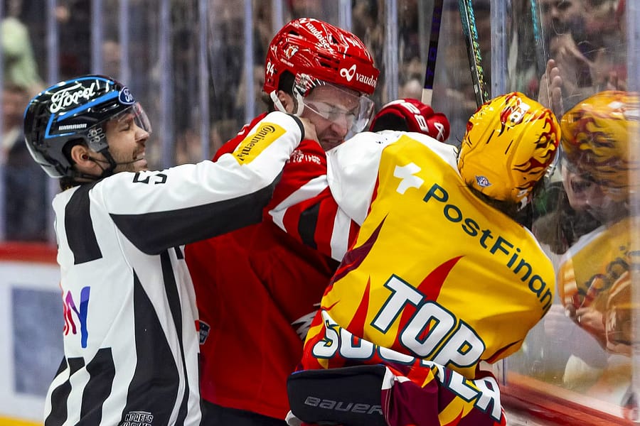 Schlägerei Eishockey Psychologie